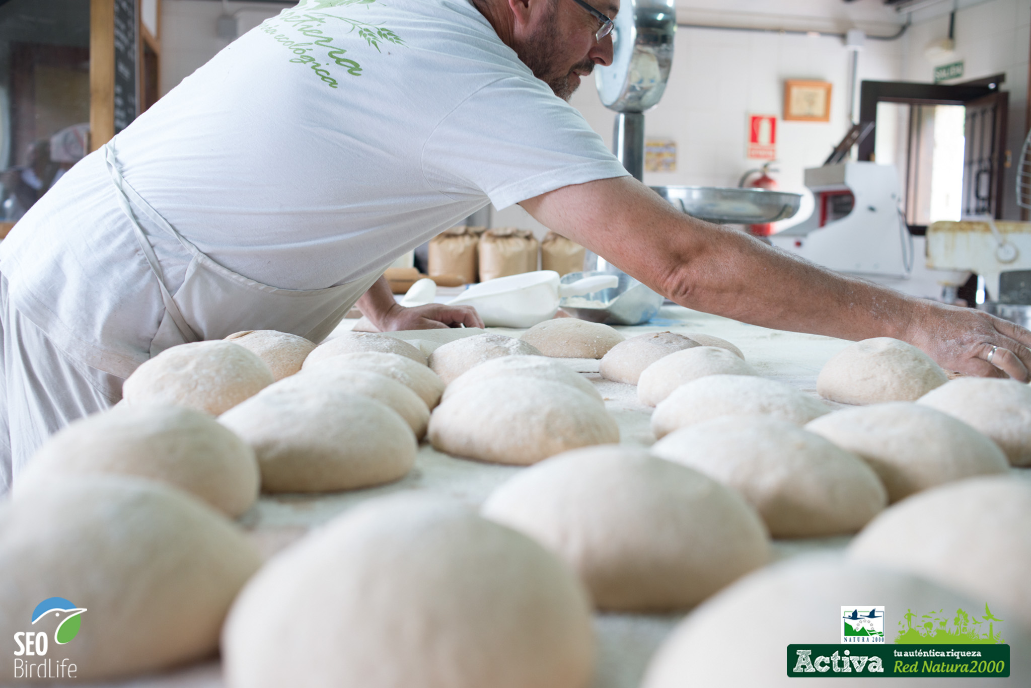Panaderia ecologica en Redes, Asturias Panaderia ecologica en Redes, Asturias
