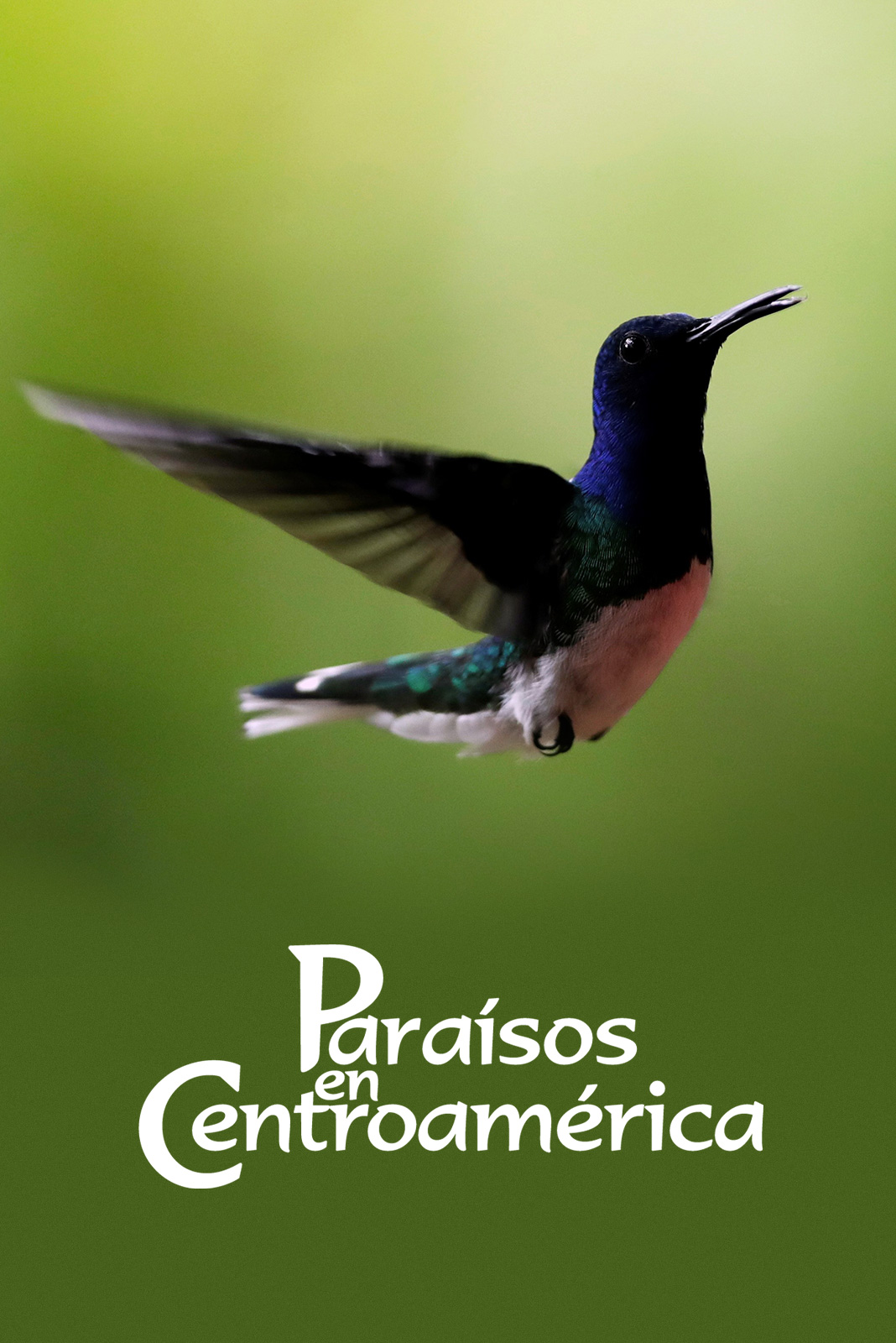 Paraísos de Centroamérica
