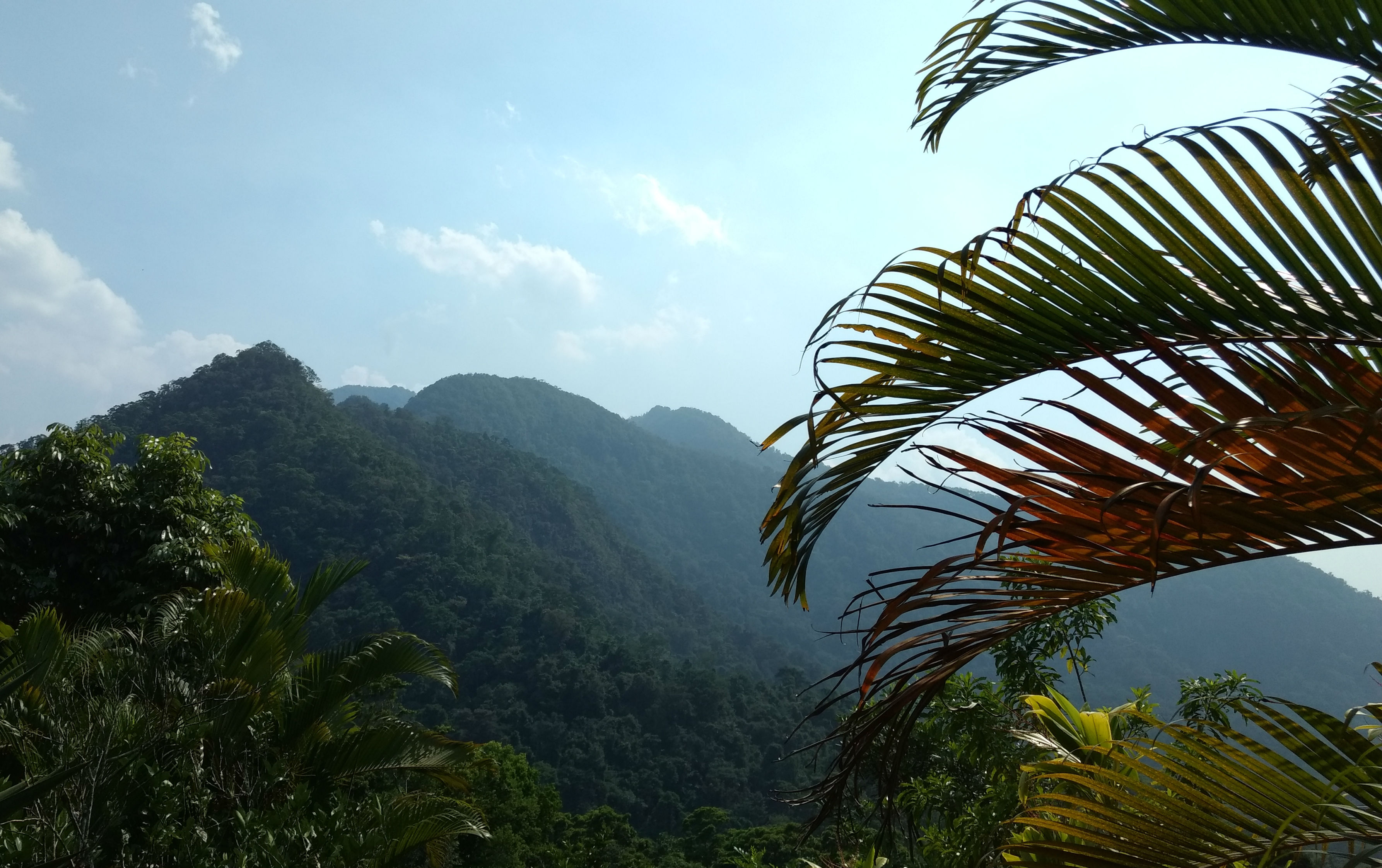 Parque nacional Pico Bonito