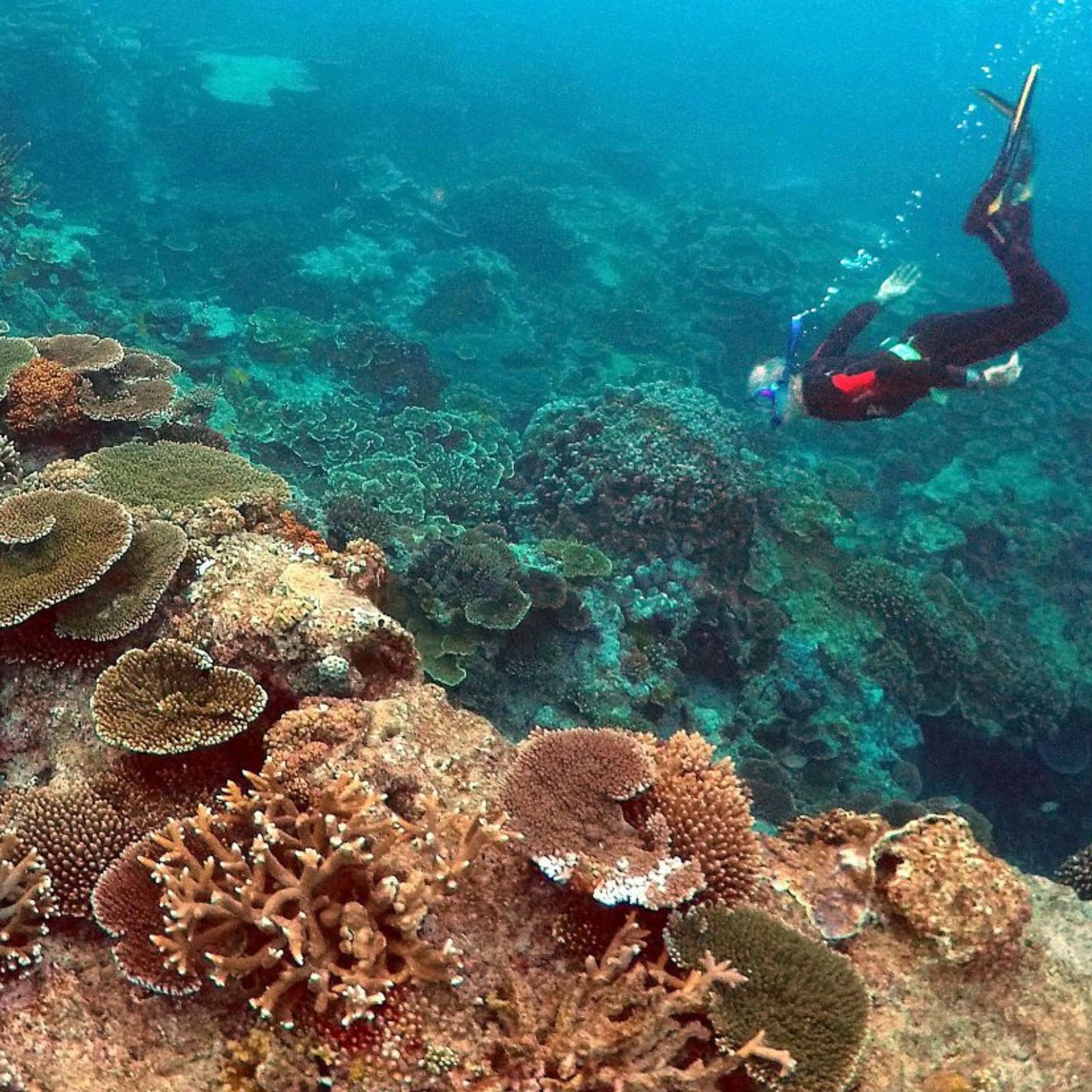 El ojo crítico - Patrimonio en riesgo, cultura que resiste - 15/11/25