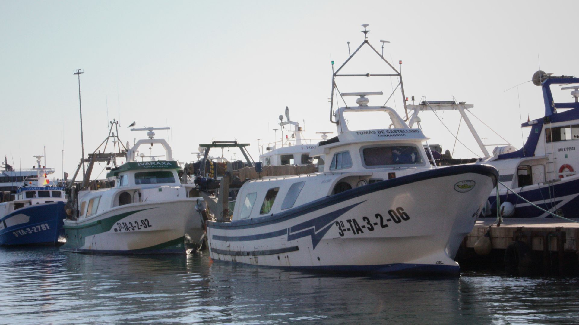 La flota d'arrossegament del Mediterrani té 13 dies més de pesca