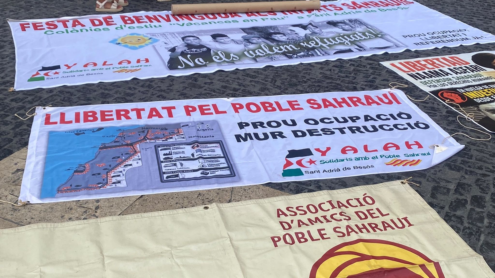 Petits ambaixadors de la causa sahrauí episode artwork