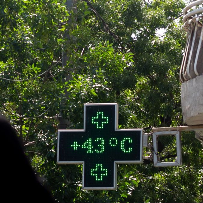 Planeta vivo - La factura del calentamiento - 12/11/25