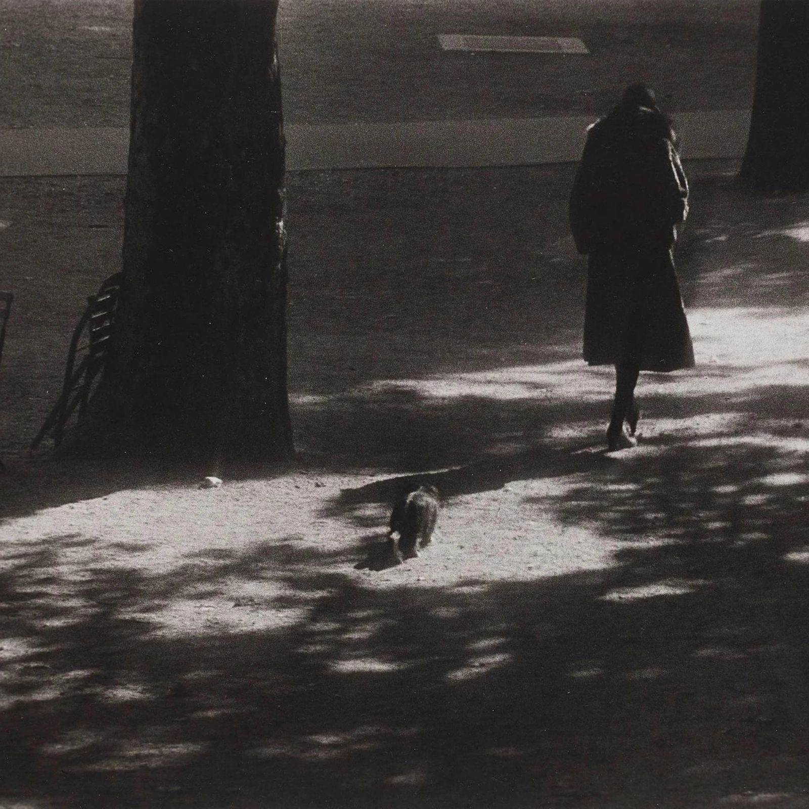 Alguien debería prohibir los domingos por la tarde - Primer domingo - 04/01/26