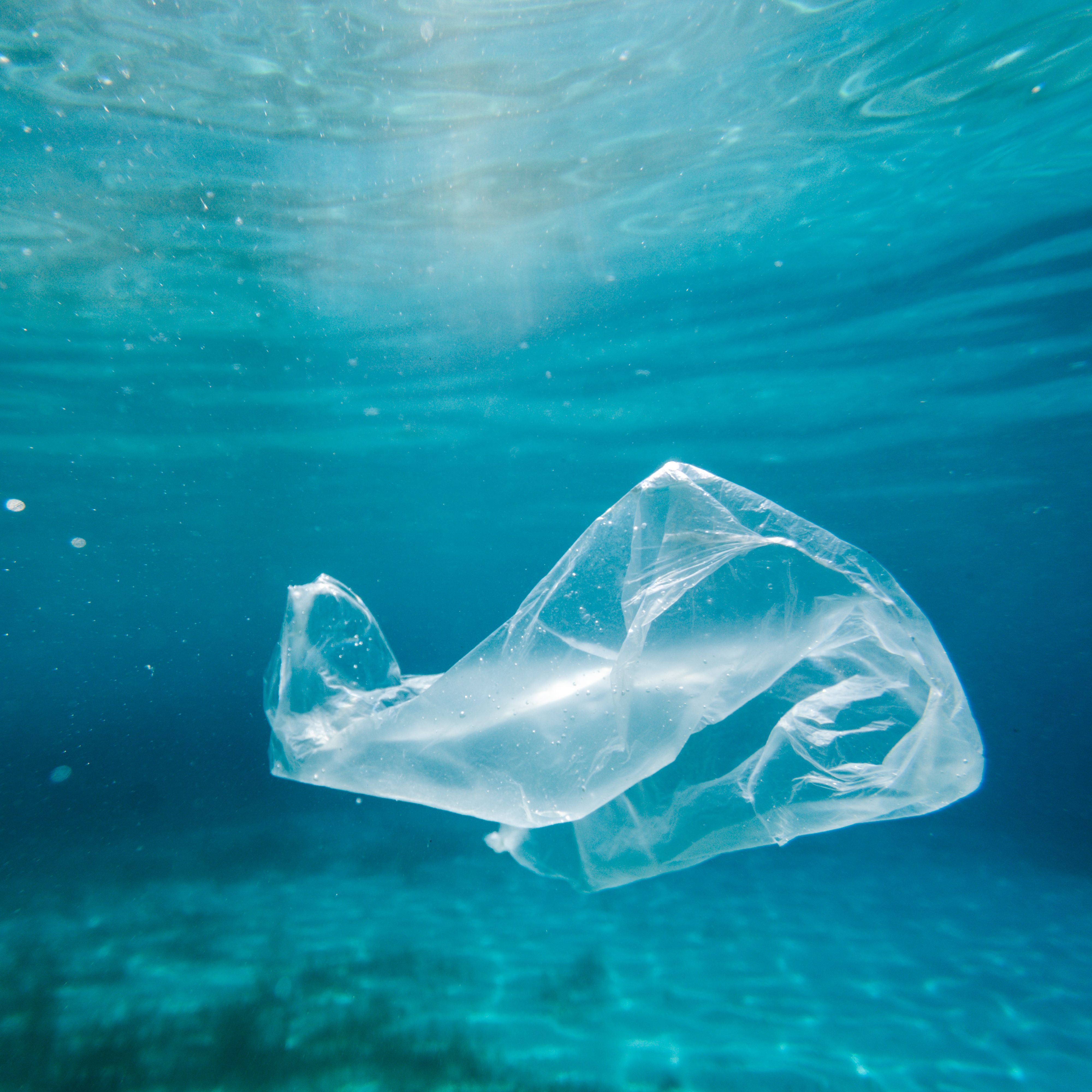 Mundo rural - Proyecto Gravity Wave - 16/01/26