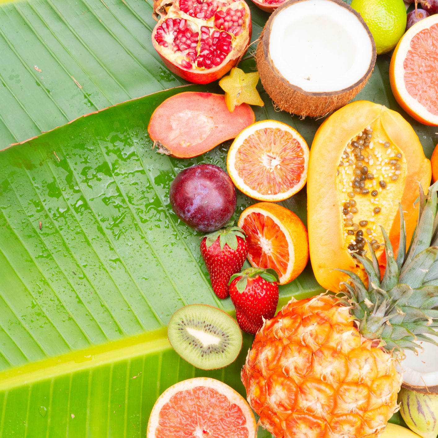 RAE Informa - Frugívoros - 01/09/25