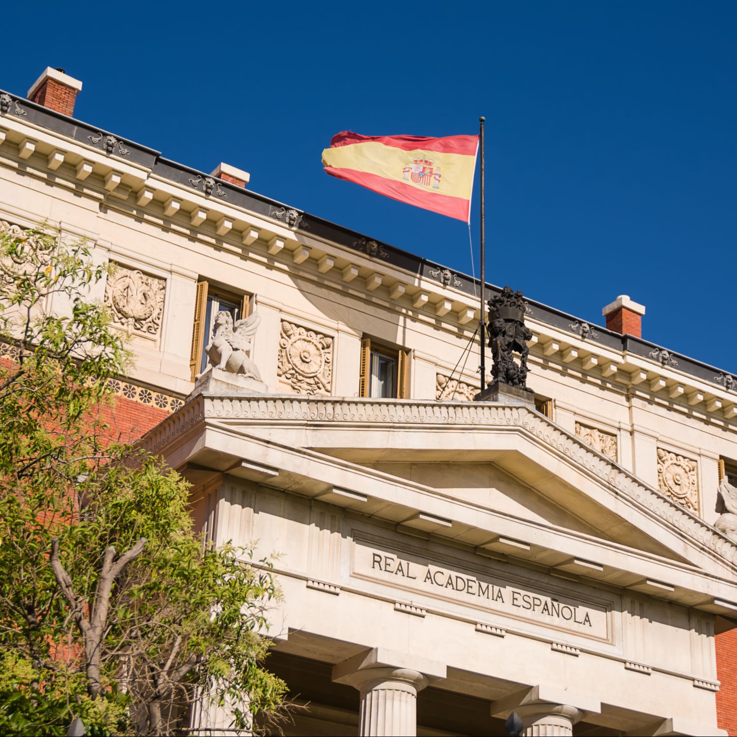 La RAE informa - La última - 08/05/25