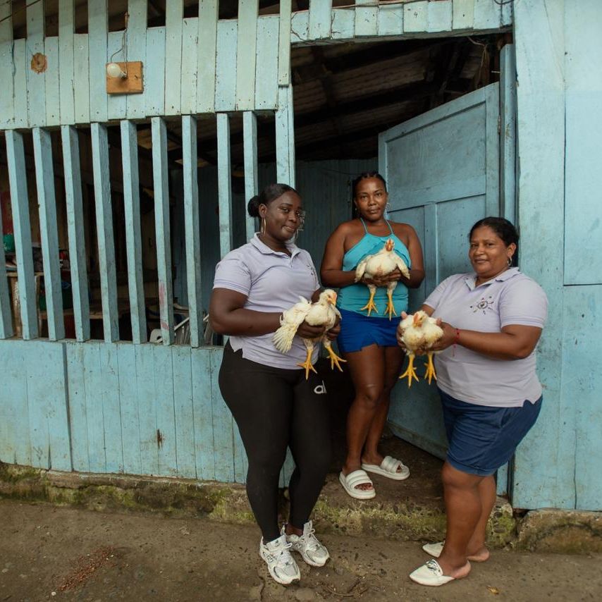 Reportajes 5 Continentes - De víctimas de las FARC a cuasi-empresarias