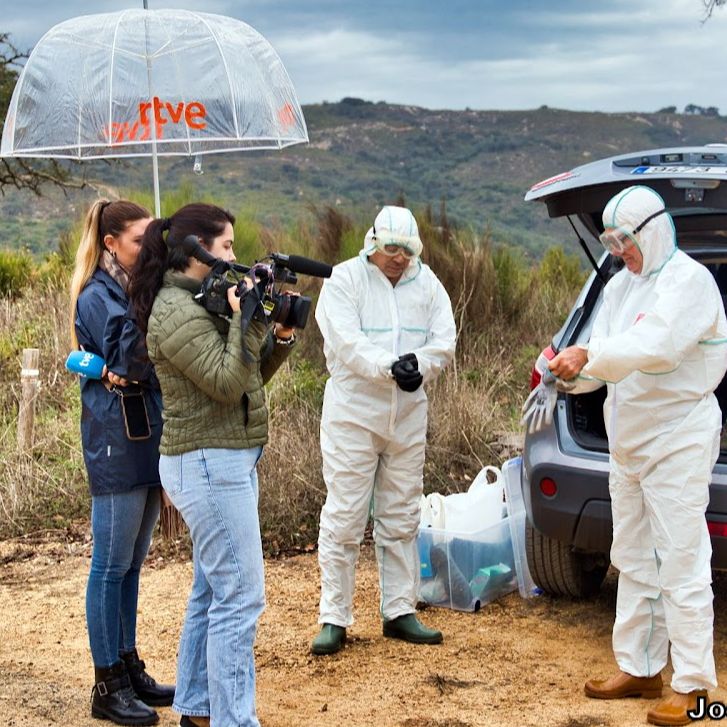 Reportajes Emisoras - Algeciras - Uso del alga asiática como fertilizante - 04/12/25