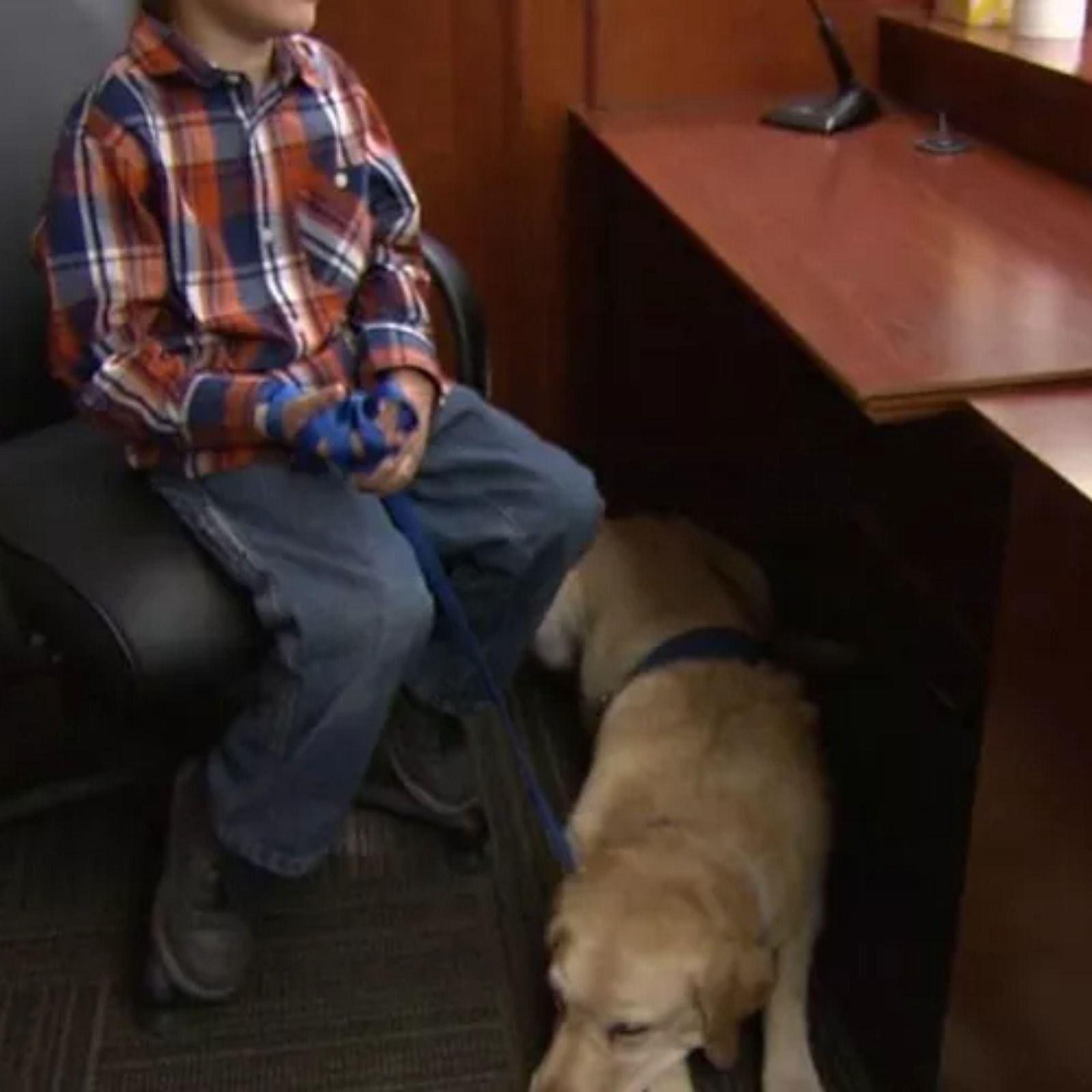 Reportajes Emisoras - Bilbao - Terapia con perros - 23/01/26