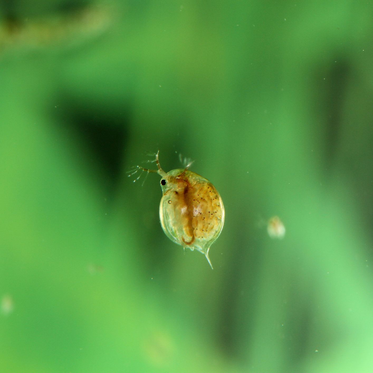 Reportajes Emisoras - Cáceres - Convenio sobre contaminación - 08/01/26