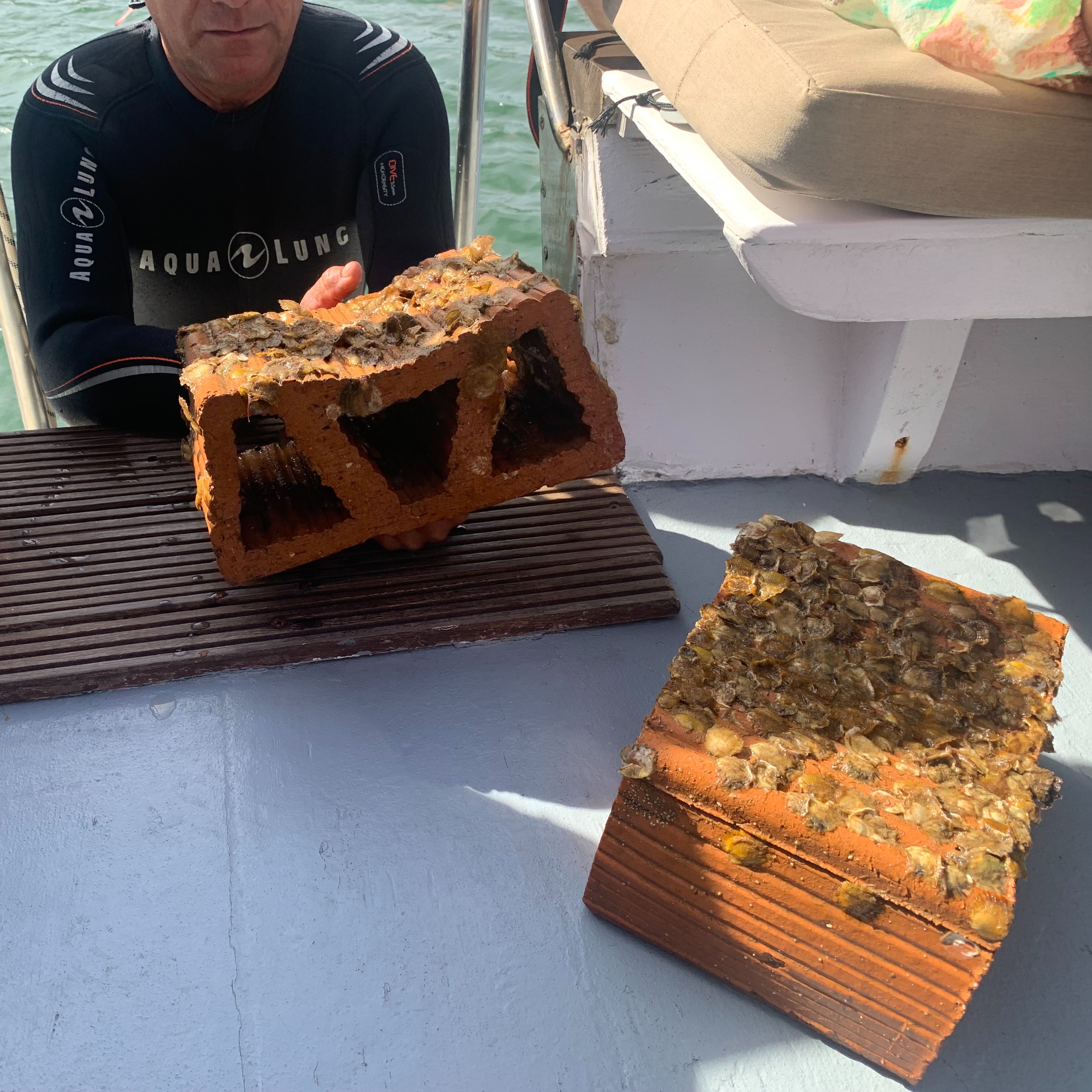 Reportajes Emisoras - Cartagena -  Recuperación del Mar Menor con ostras - 14/11/25