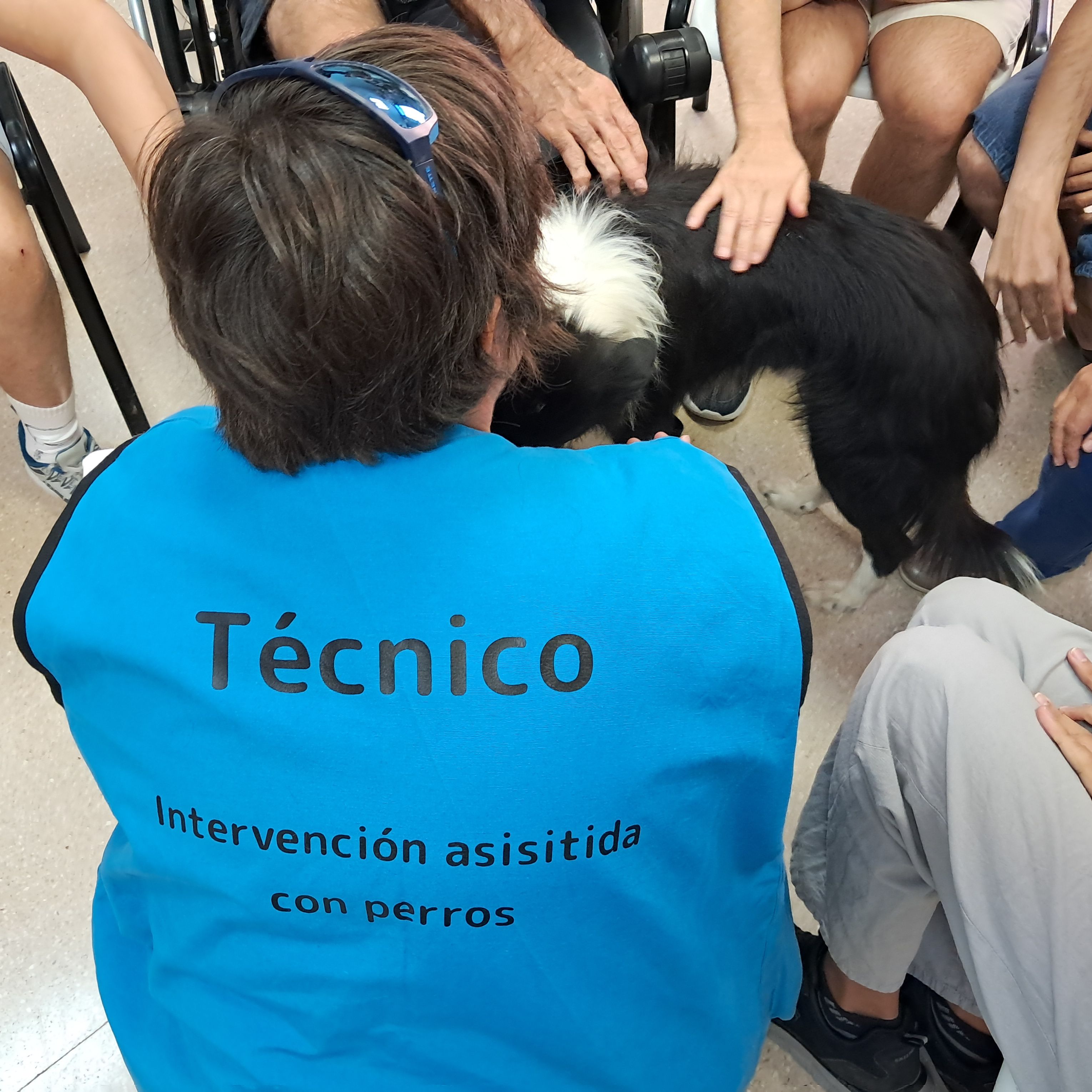 Reportajes Emisoras - Ciudad Real - Terapias con perros - 14/10/25