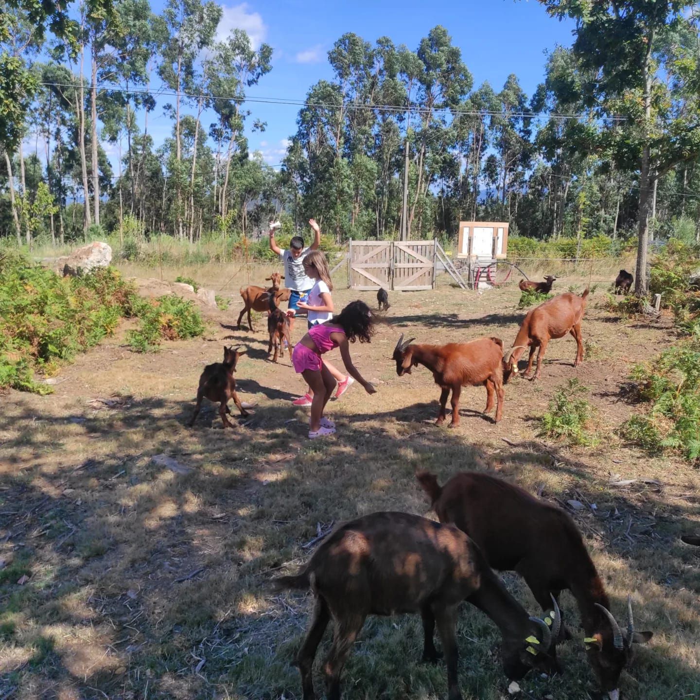 Reportajes Emisoras - A Coruña - Una clase en el monte - 13/03/26