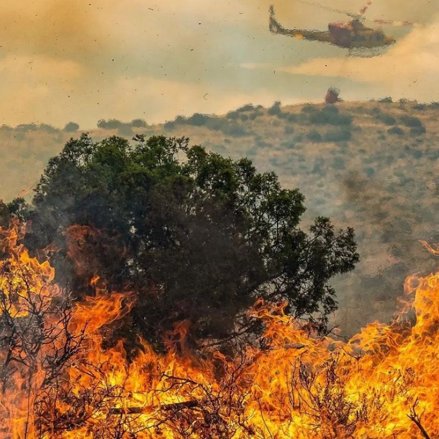 Reportajes Emisoras - Alicante - Informe sobre el incendio de Font Roja - 04/11/25