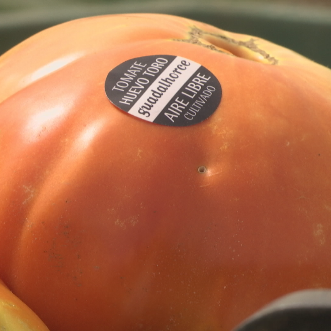 Reportajes Emisoras - Málaga - Tomate huevo de toro - 10/10/25