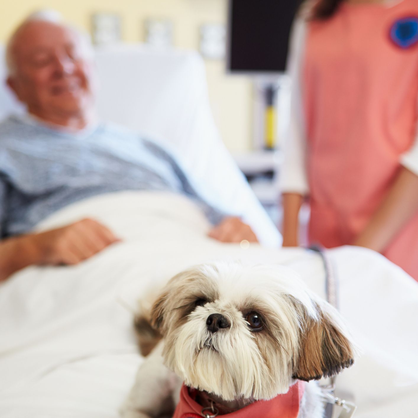 Reportajes Emisoras - Mallorca - Terapia con perros - 11/03/26