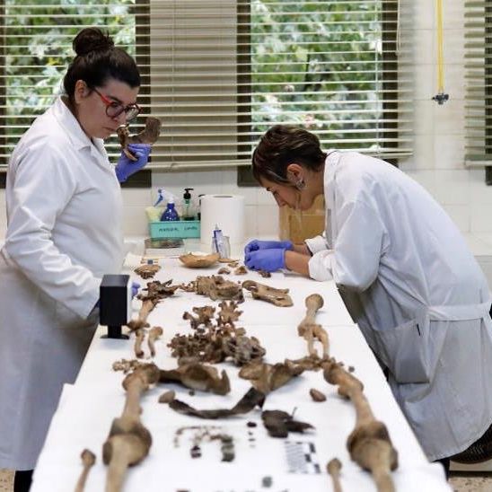 Reportajes Emisoras - Ponferrada - El individuo nº 7 - 19/03/26