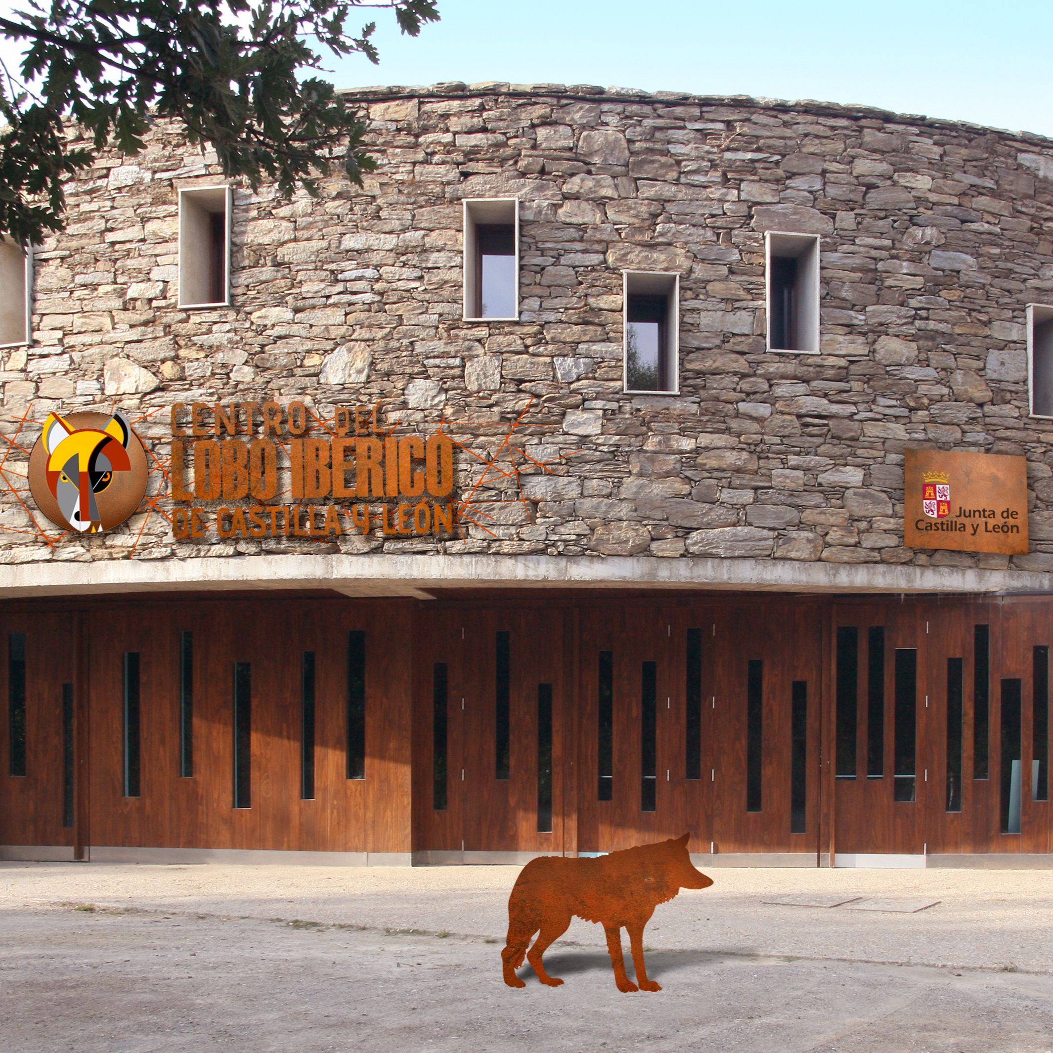 Reportajes Emisoras - Zamora - El Centro del Lobo Ibérico de Castilla y León cumple 10 años - 02/12/25