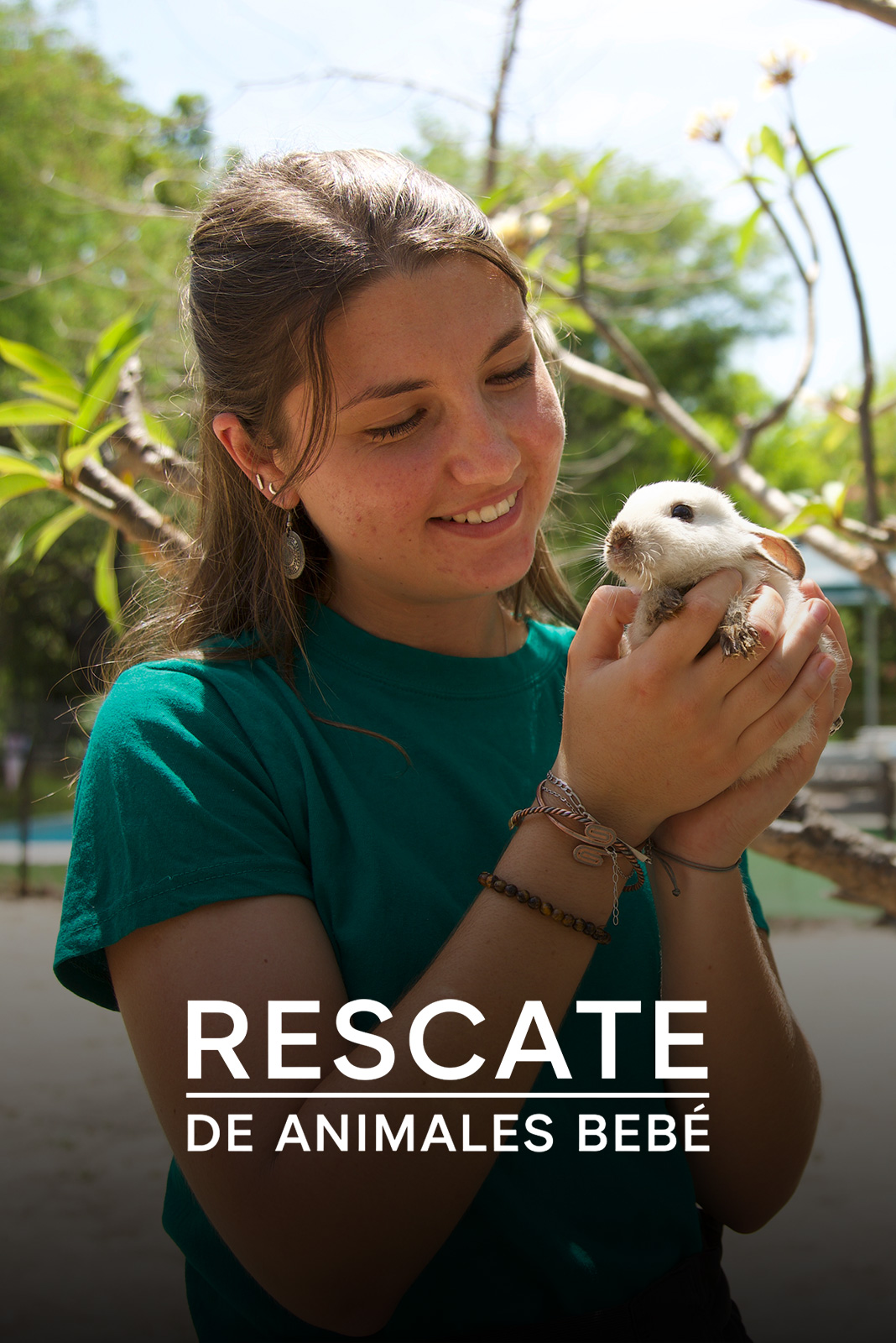 Rescate de animales bebé