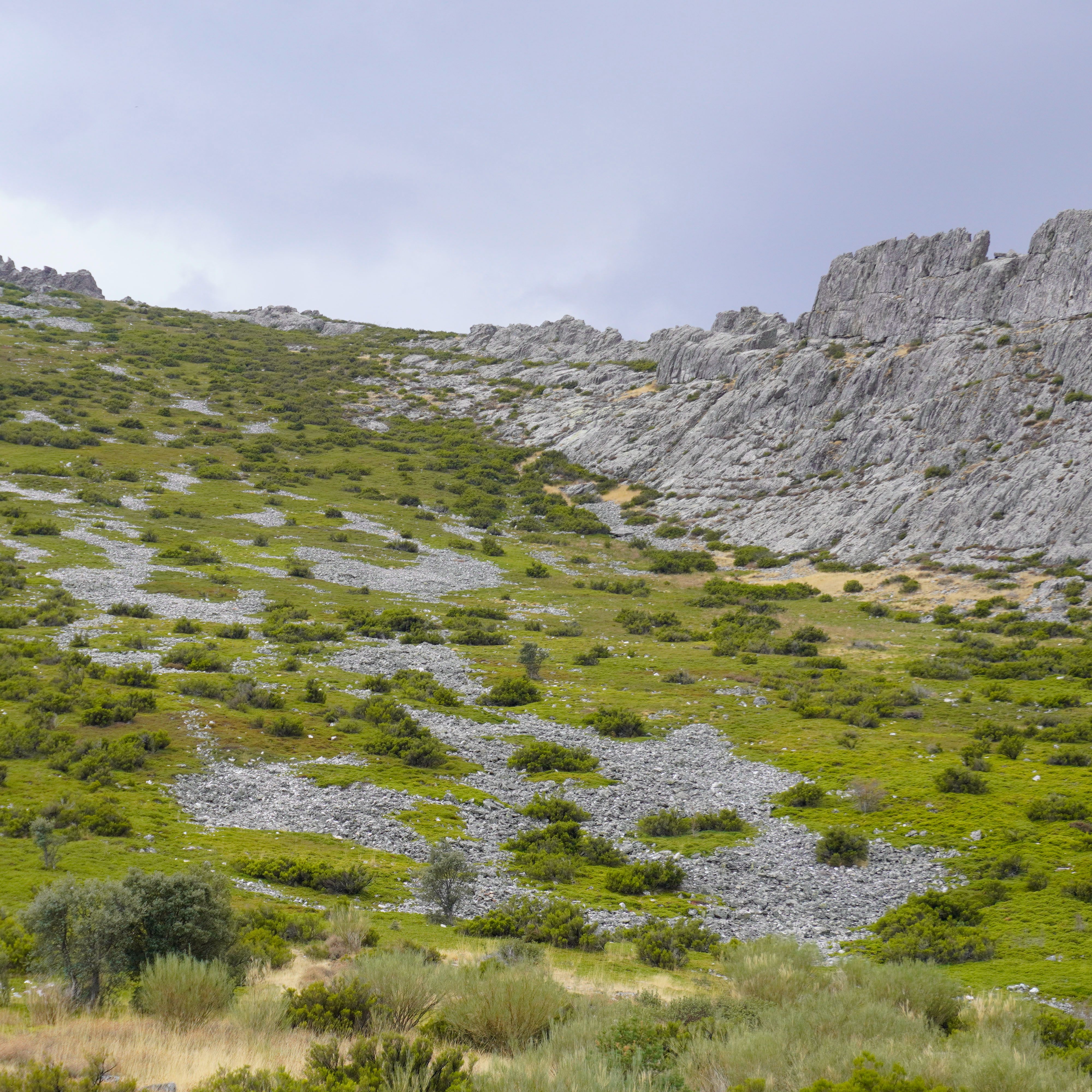 Reserva natural - Desafíos de futuro en la despoblada Sierra Norte de Guadalajara - 02/11/25