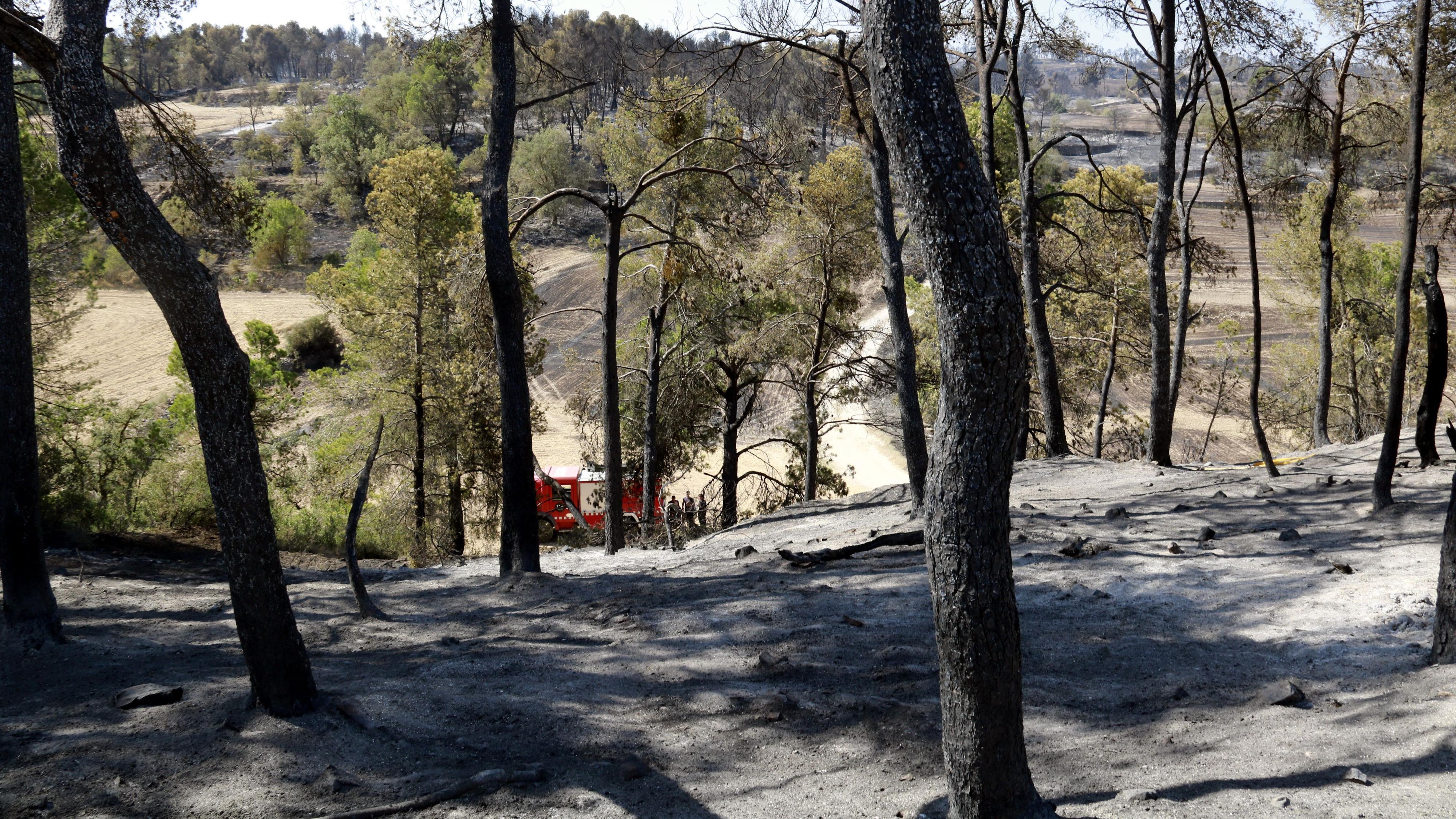 The fire​​​​ in Ciutadilla that the Fire Department said was extinguished on Thursday is reviving