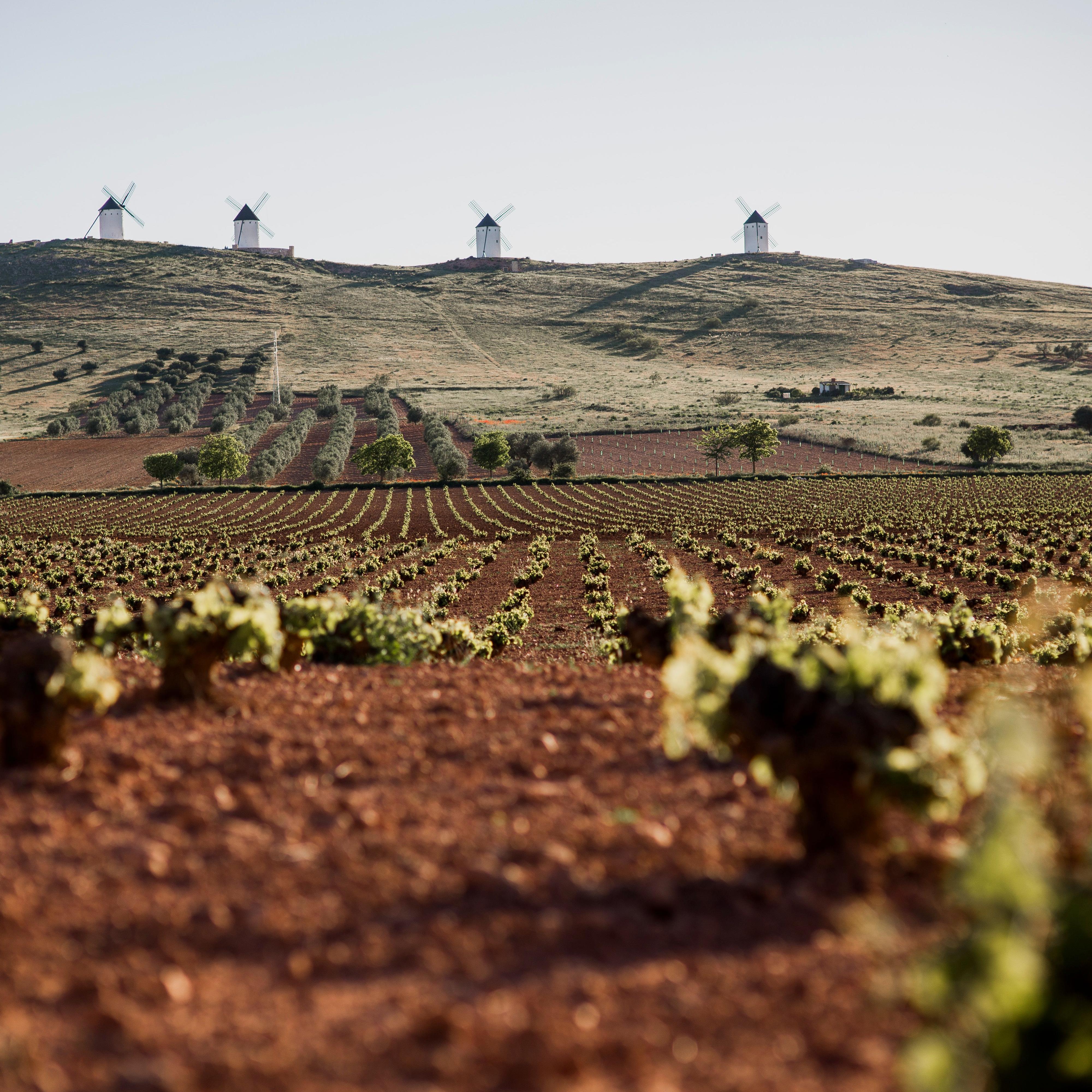 Marca España  - La Mancha: patrimonio gastronómico y valor en el mundo rural - 08/07/26 episode artwork