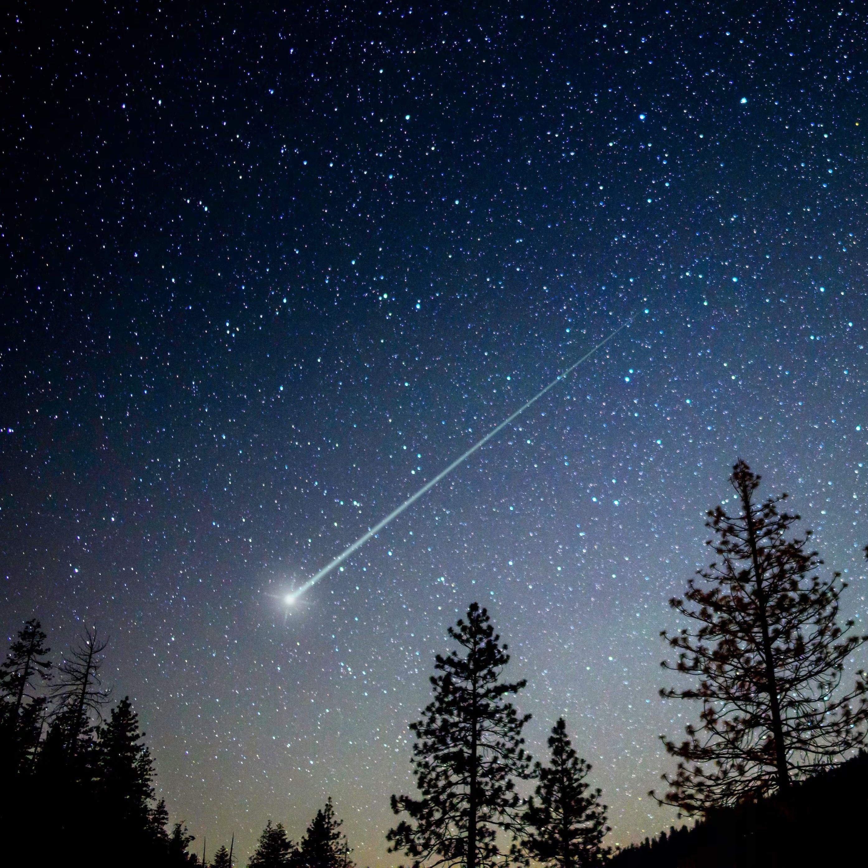 El sótano - Qué te salga bueno y con rock’n’roll - 31/12/25