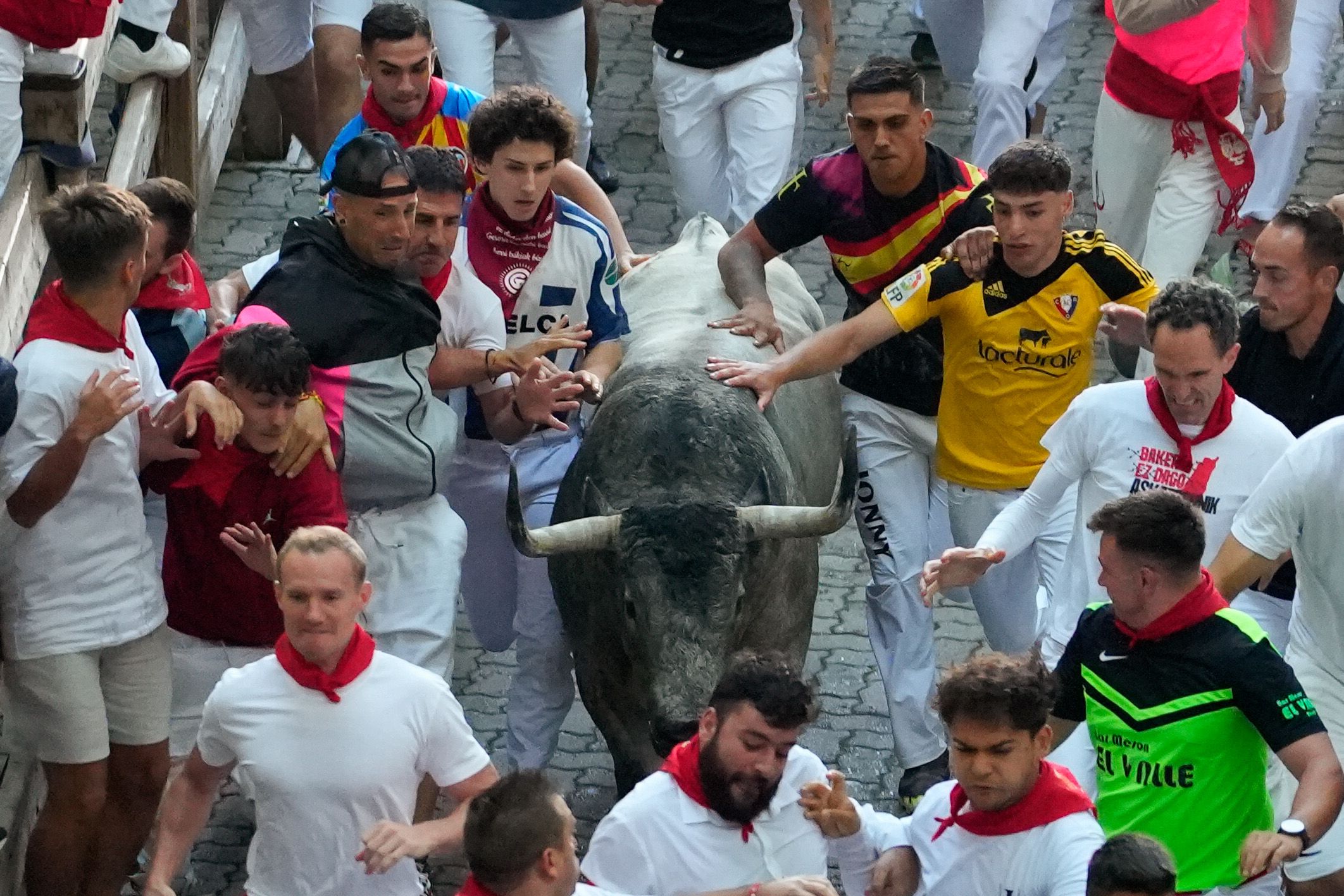 San Fermín 2025: varios mozos tocan a uno de los toros de José Escolar