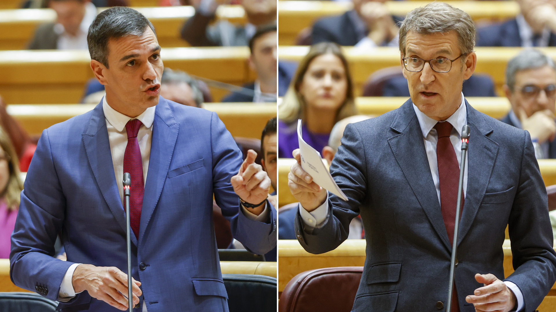Sánchez y Feijóo, duelo de alta tensión en el Senado en medio de la ...