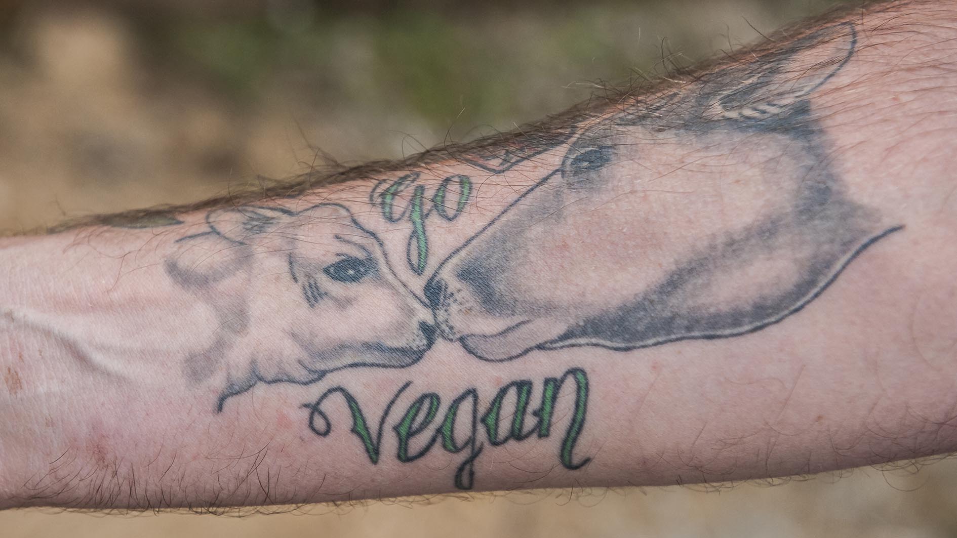 El santuario se basa en la filosofía vegana El santuario se basa en la filosofía vegana