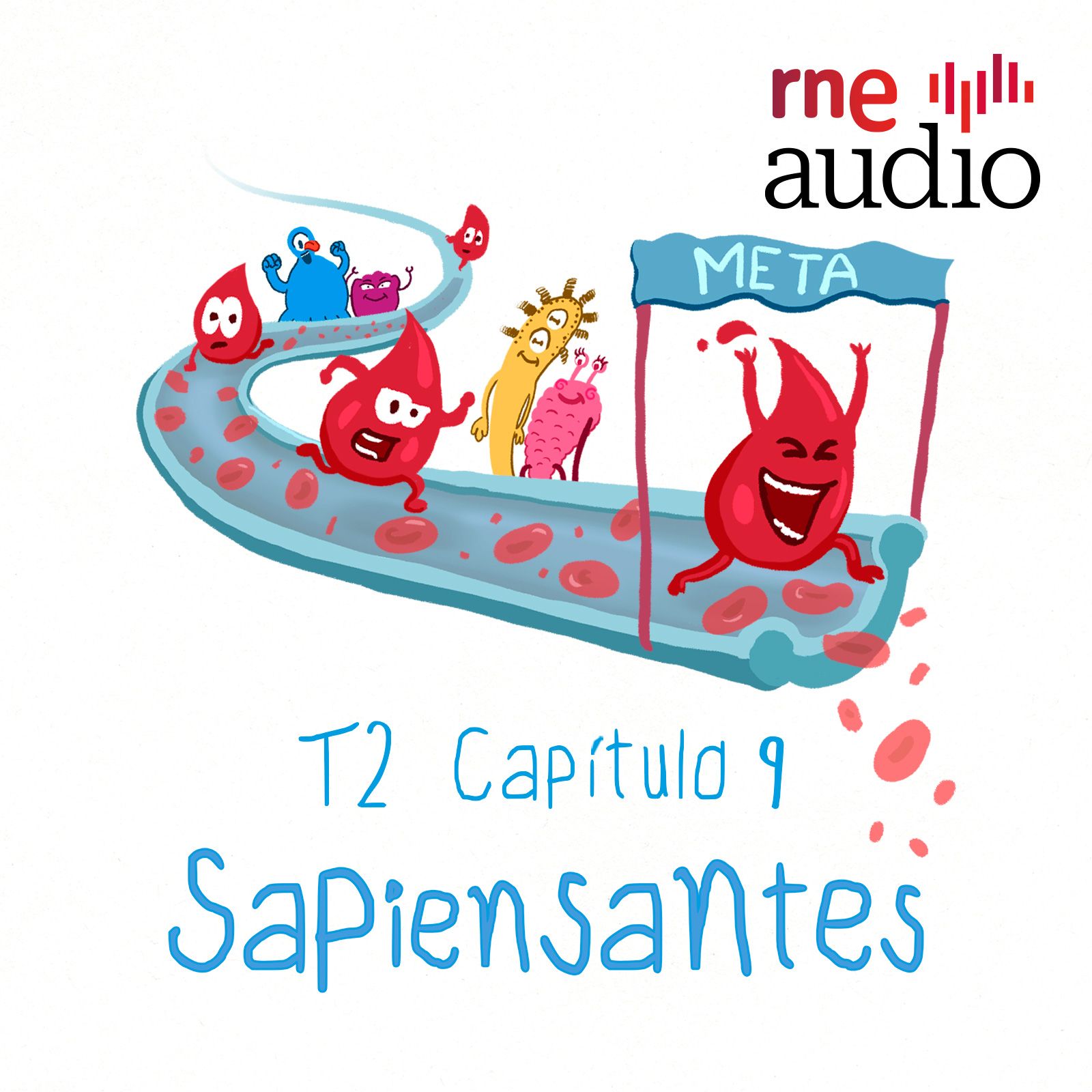 Sapiensantes - T2. E9. ¿Por qué la sangre es roja y cómo circula por nuestro cuerpo?