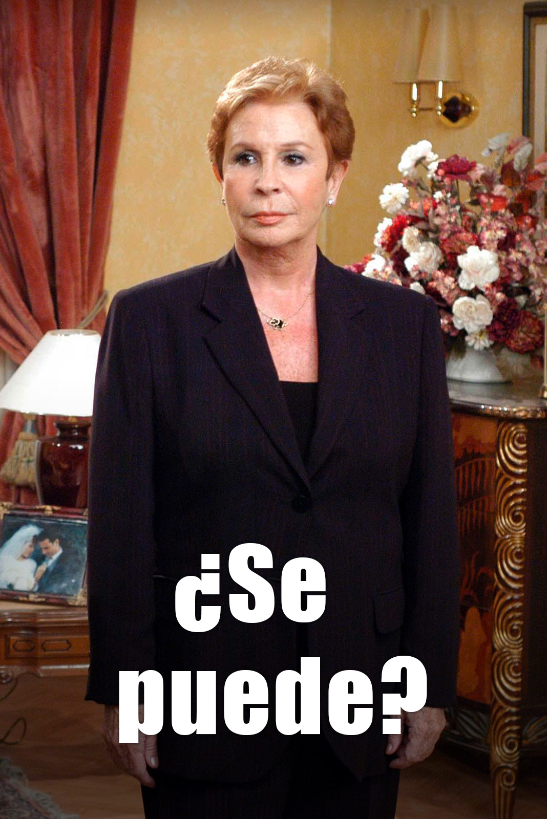 ¿Se puede?