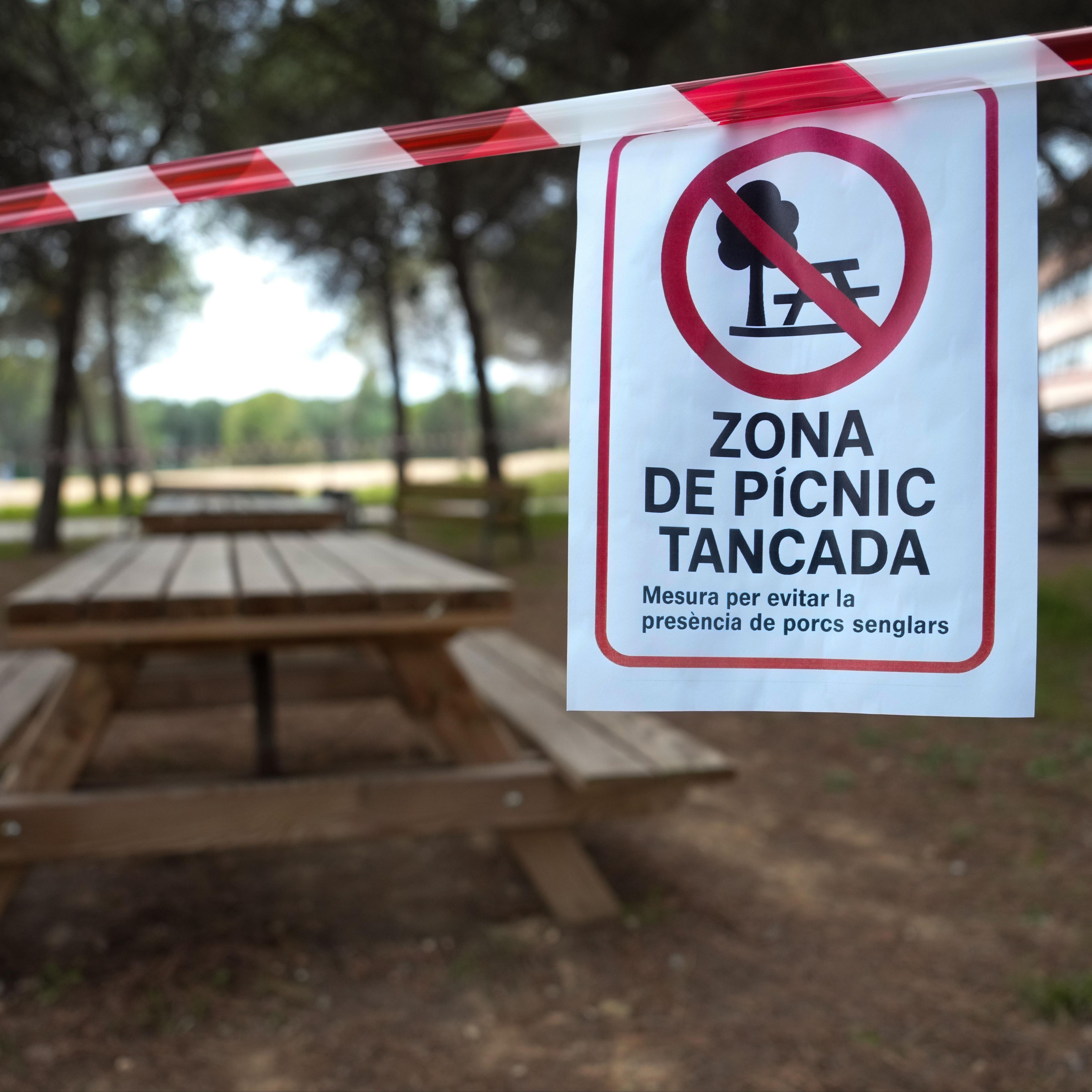 El sector ganadero reclama al Gobierno un plan a corto plazo para la gestión de la fauna salvaje