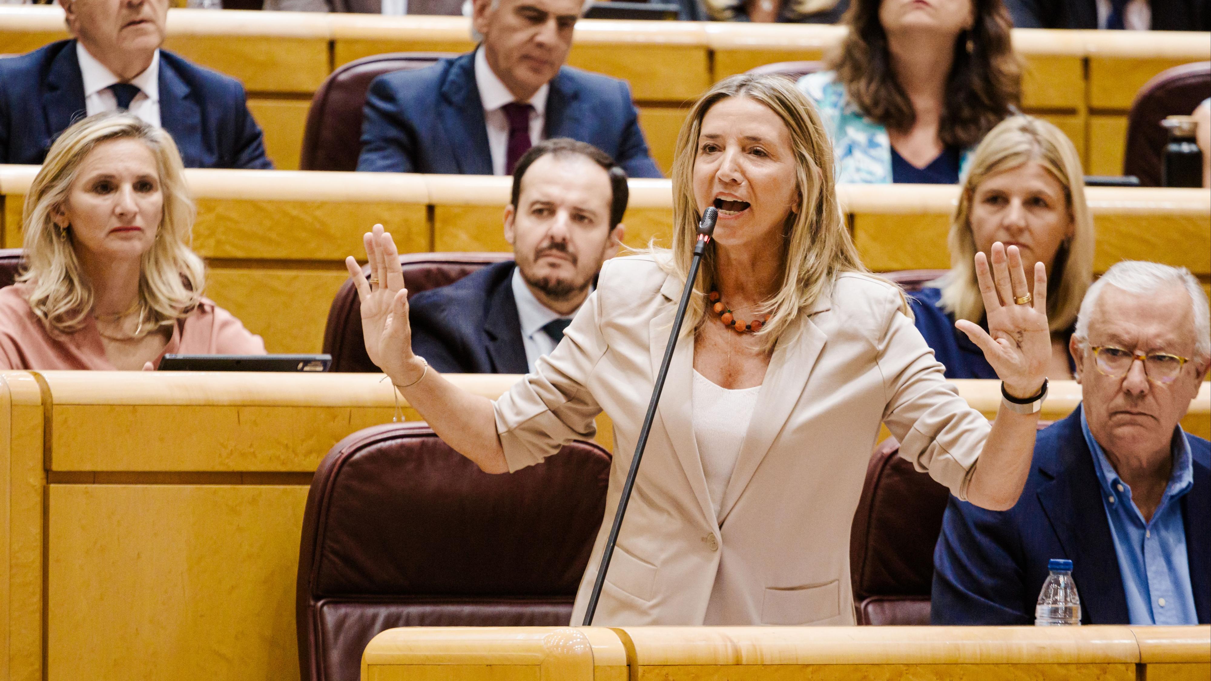El Senado celebra una sesión monográfica sobre los fallos en las pulseras antimaltrato promovida por el PP