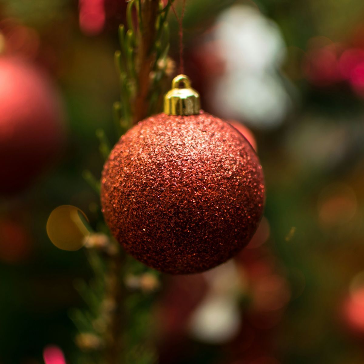 El laberinto - Sesión de fin de año (Parte 2) - 13/12/25 El laberinto - Sesión de fin de año (Parte 2) - 13/12/25