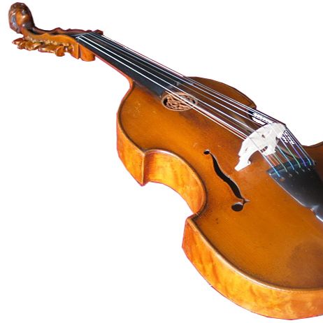 El árbol de la música