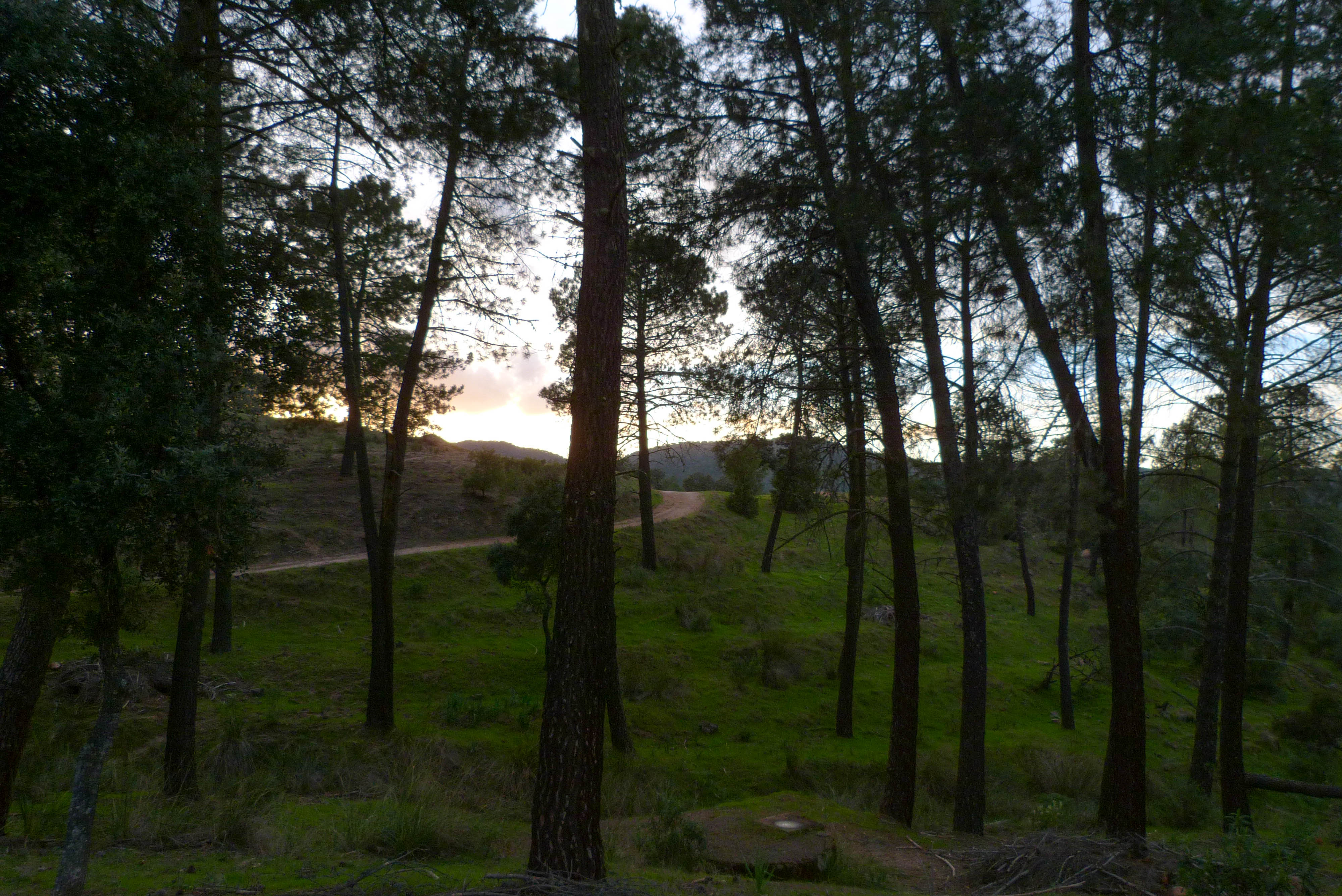 La sierra de Cardeña La sierra de Cardeña