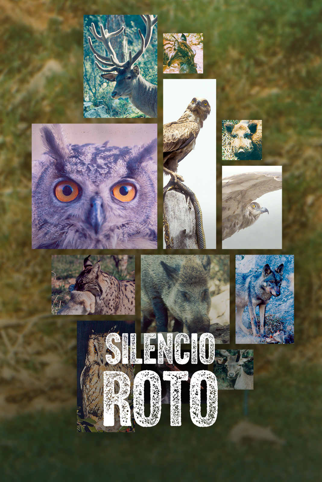 Silencio roto