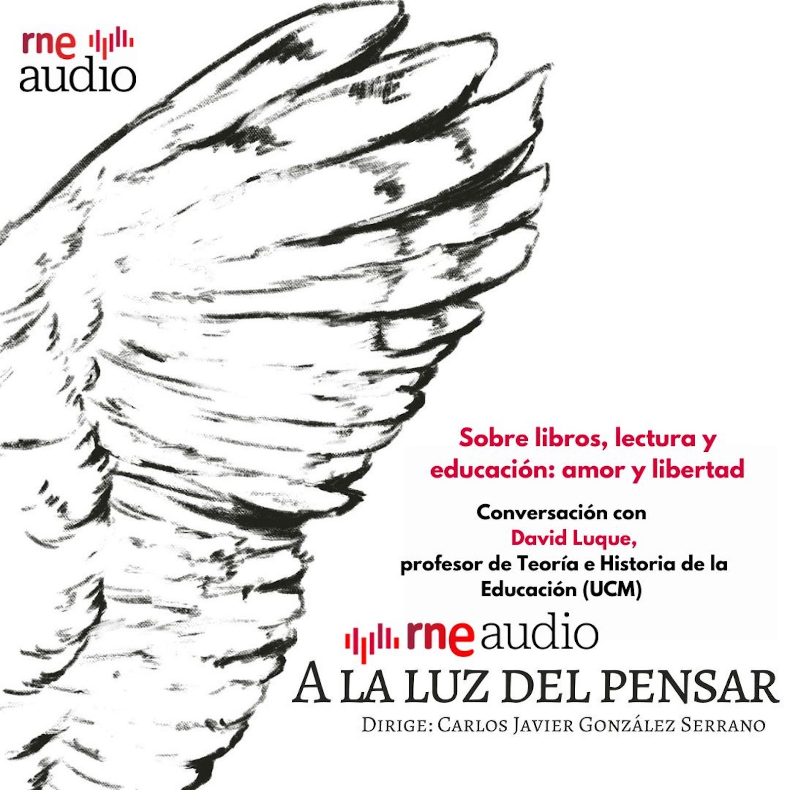 A la luz del pensar - Sobre libros, lectura y educación: amor y libertad episode artwork