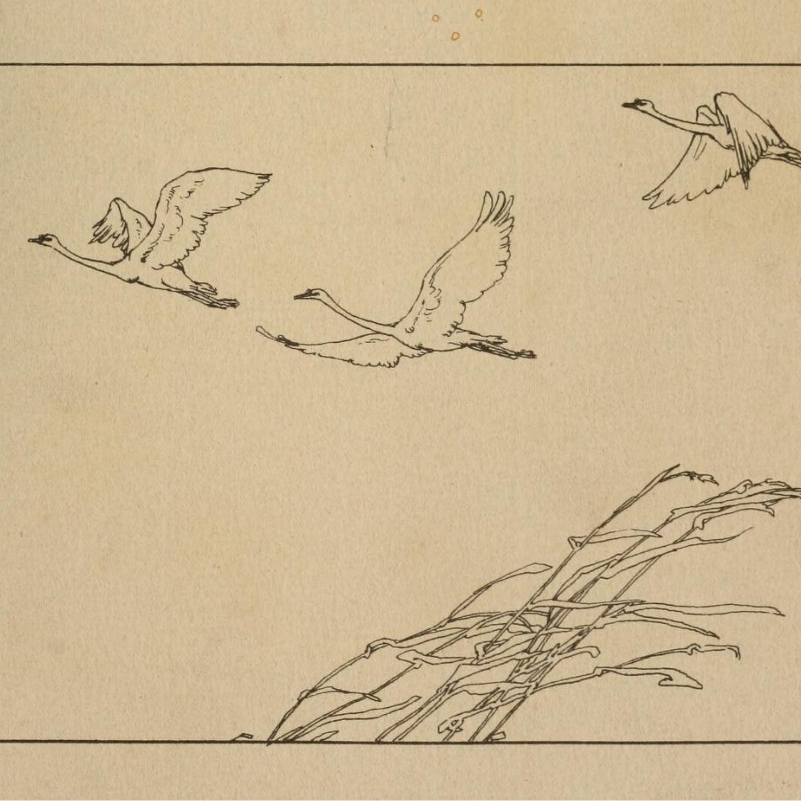 Alguien debería prohibir los domingos por la tarde - Soft Sunday - 16/11/25 Alguien debería prohibir los domingos por la tarde - Soft Sunday - 16/11/25