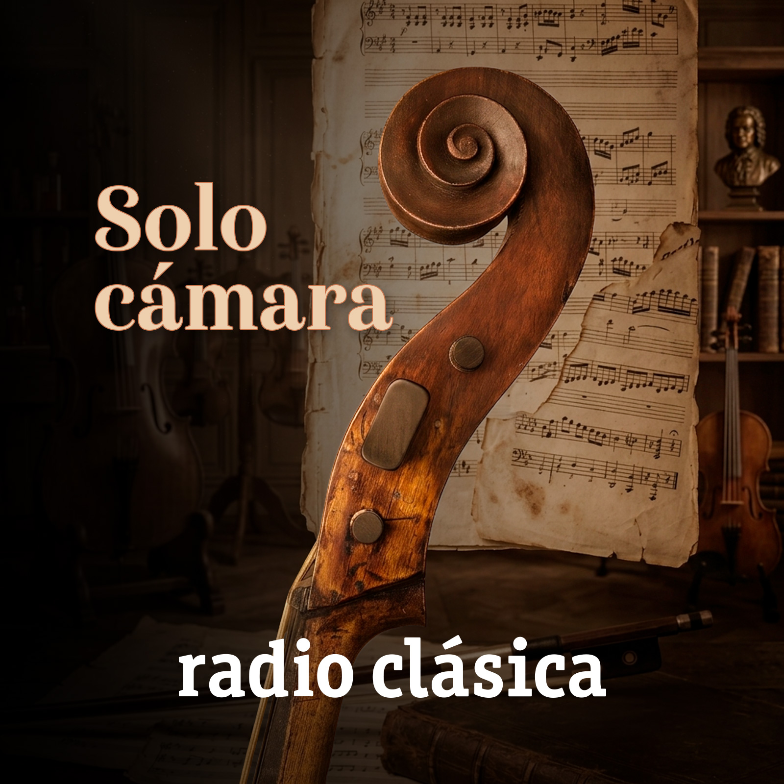 Solo cámara