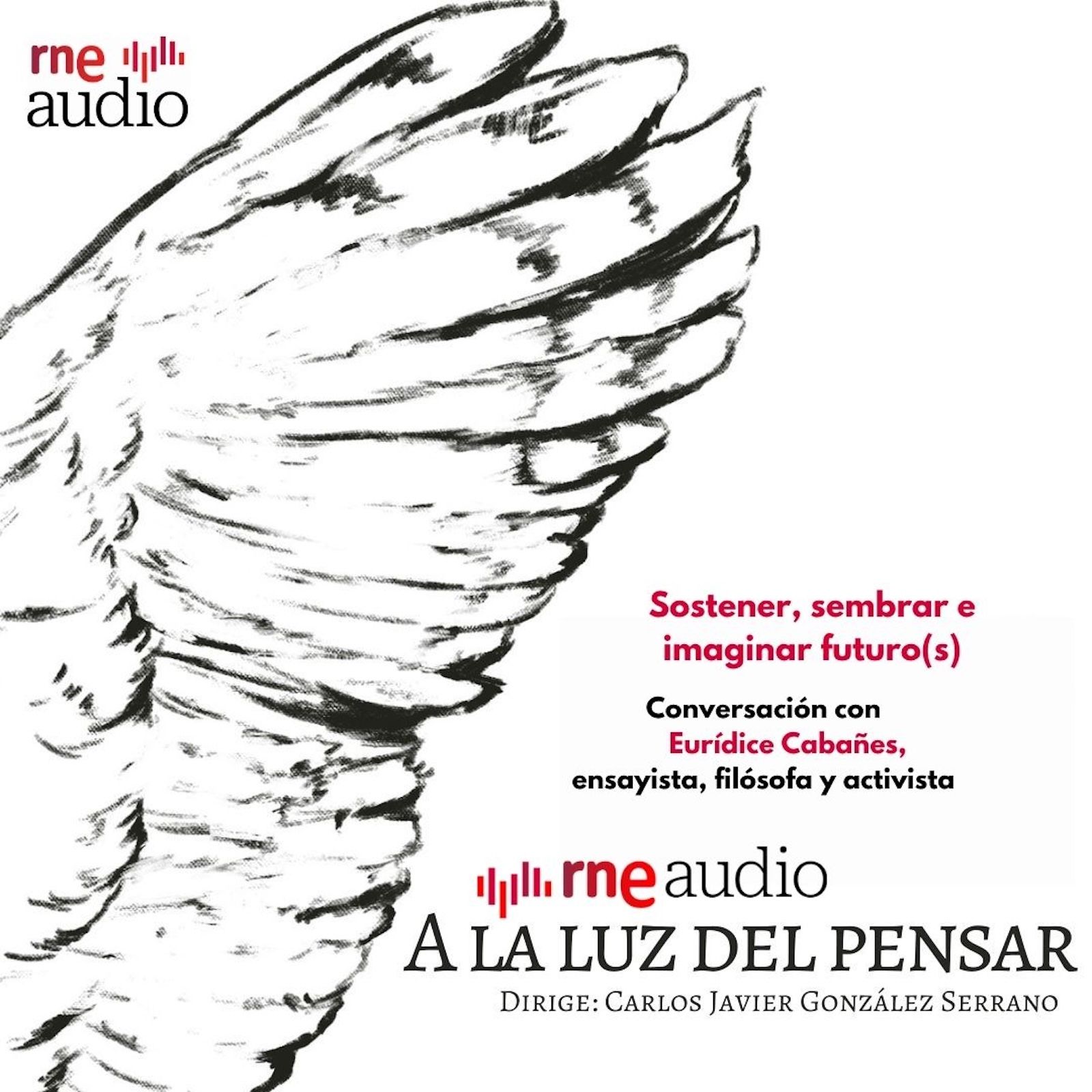 Portada de A la luz del pensar