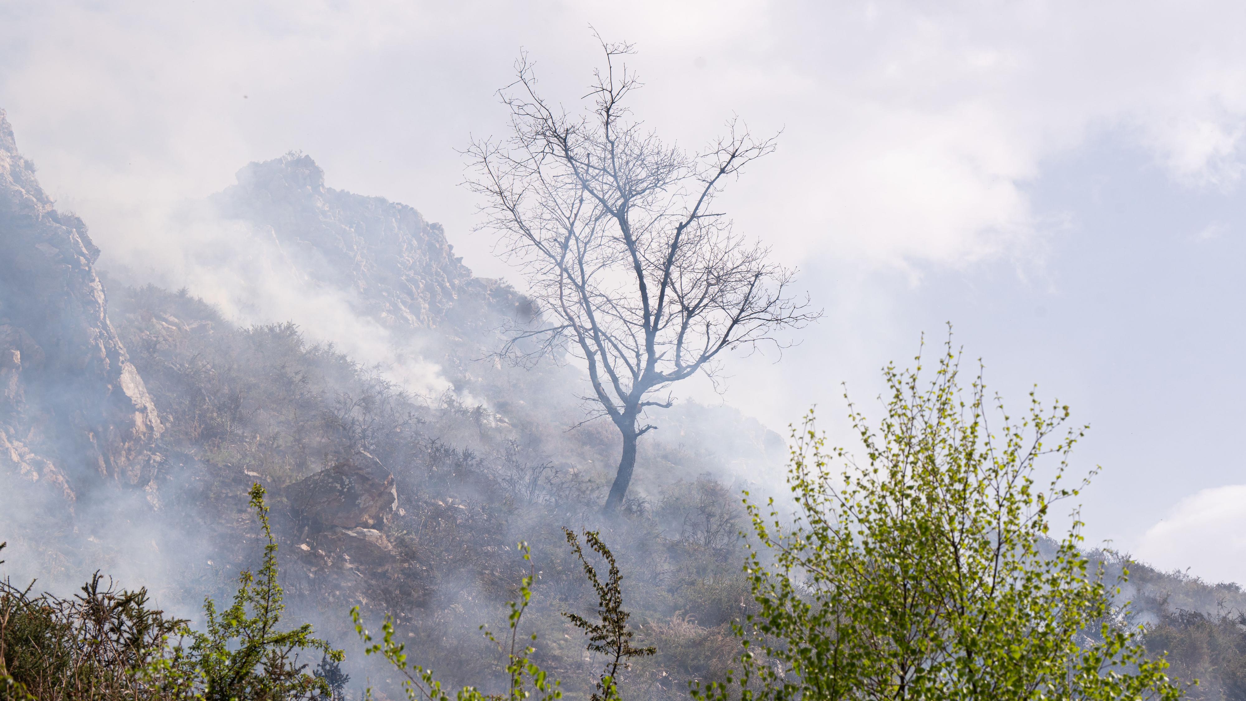 La superficie quemada por los incendios forestales aumenta en Asturias ...