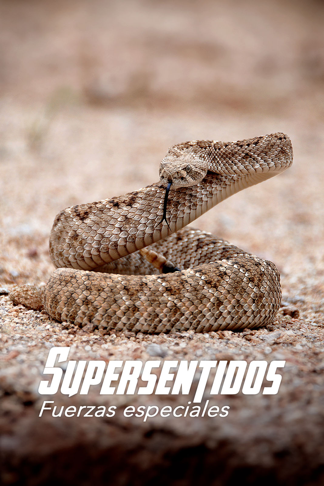 Supersentidos. Fuerzas especiales