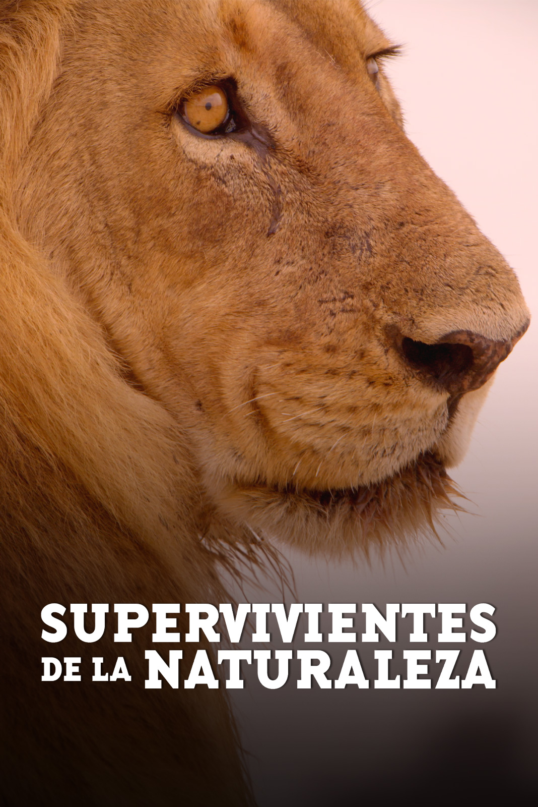 Supervivientes de la naturaleza