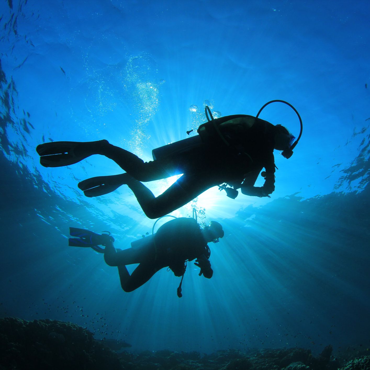 Españoles en la mar - Surcando los mares y explorando los tesoros de sus fondos - 21/04/2026 episode artwork