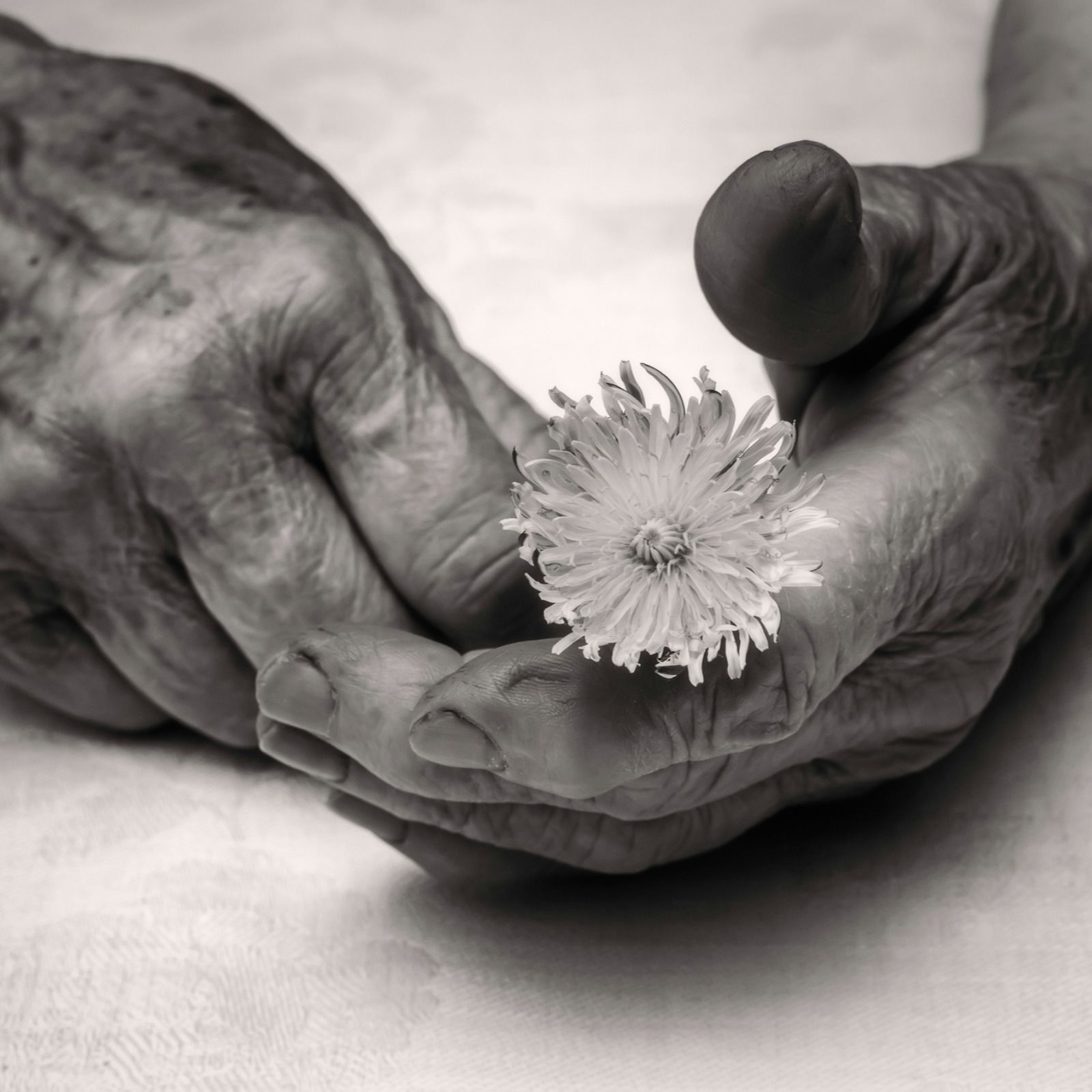 Tras la tormenta | Sutilezas de Pablo d’Ors, Dionisia García, Levy y caminantes [3.6b] - 13/10/25