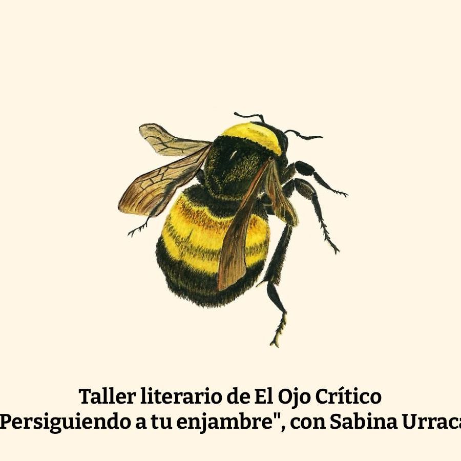 Taller literario 'Persiguiendo a tu enjambre' con Sabina Urraca  - Enfermedad