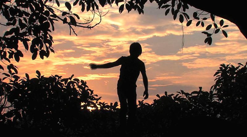 Tarde de verano (2011)